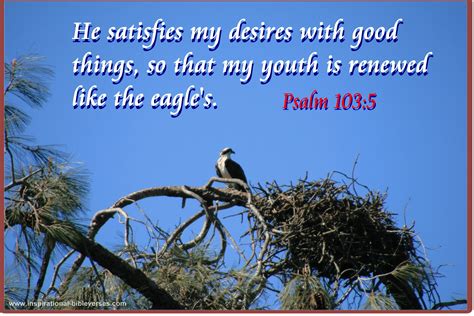 Psalms Bible Quotes Quotesgram