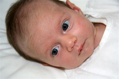 Newborn Baby With Blue Eyes Image Free Stock Photo Public Domain