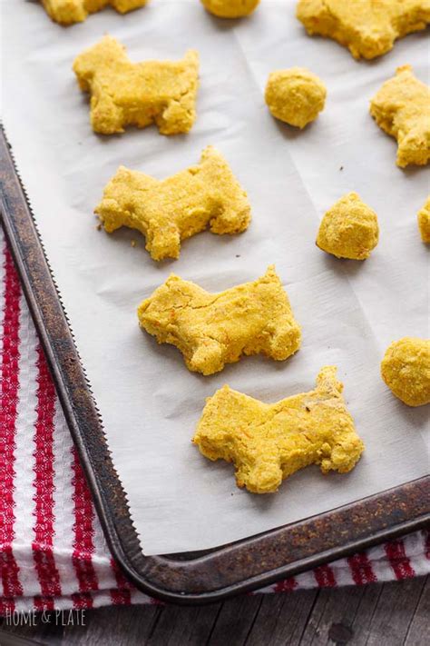 Grain Free Dog Treat Recipe For Dogs With Allergies — Home