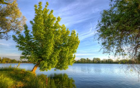Wallpaper Green Trees Beside Lake Under Blue Sky During Daytime