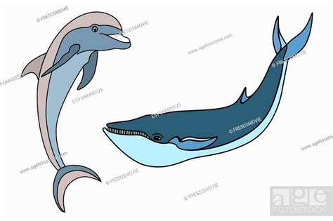 Set Marine Mammals Blue Whale Sperm Whale Dolphin Orca Stock