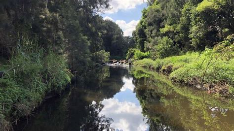 Fra appin til glenfield er en stor korridor blevet beskyttet som en del af georges river regional open space corridor. Summary of River Health Grades for the Georges River 2019 ...
