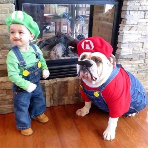 17 Parents Who Outdid Themselves When It Came To Their Kids Halloween