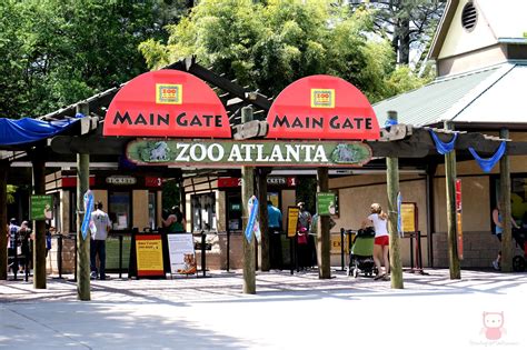 Visiting Zoo Atlanta Onlyzooatl Annmarie John Llc A Travel And