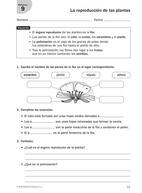 Refuerzo Y Ampliación Conocimiento Del Medio 4º Ciencias De La