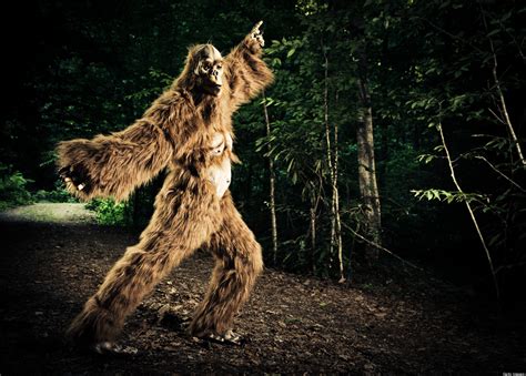 Best States For Bigfoot The Best Places To Spot The Elusive Ape Man