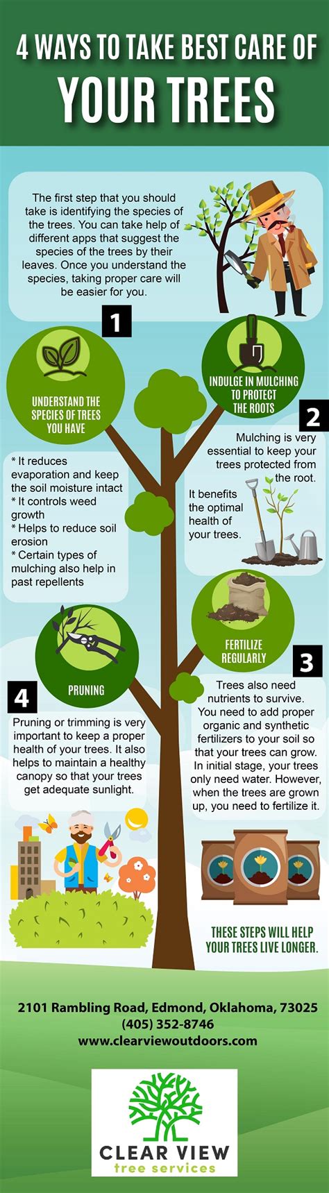 Four Ways To Take Best Care Of Your Trees Infographic — Clear View Tree Services
