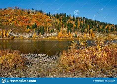 Autumn On The Coast Of The Siberian River Stock Image Image Of City