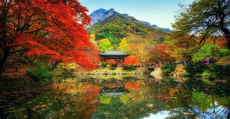 The Beautiful Landscapes Of South Korea Are Captured In