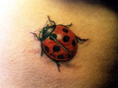 See more ideas about bug tattoo, body art tattoos, tattoos. ladybug tattoo | Lady bug tattoo, Bug tattoo, Ladybird tattoo