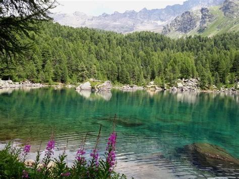 Lagh Da Saoseo Amazingnature Switzerland Schweiz Lake