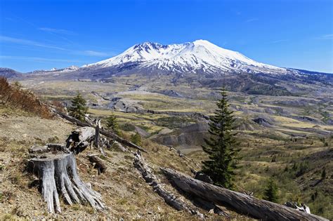 The Best Campsites And Lodges Near Mount St Helens