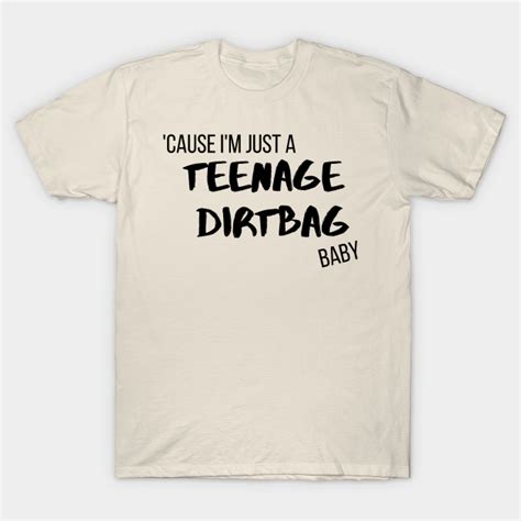Cause Im Just A Teenage Dirtbag Baby Lyrics T Shirt Teepublic
