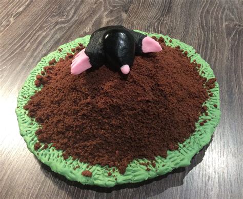 Mole Cake The Great British Bake Off The Great British Bake Off