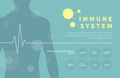 Do You Want A Healthier Immune System Focus On Your Microbiome