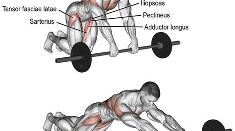 Dumbbell Armpit Row Instructions And Video Weight Training Guide