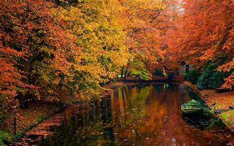 River Tree Autumn Lake Water Forest Landscape Wallpapers Hd