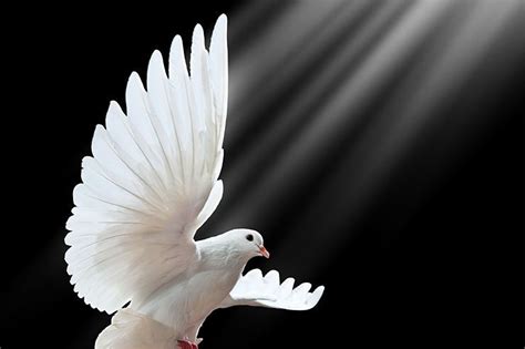 En el bautismo de jess, el espritu santo aparece en forma de es invocado, es por tanto el abogado, el mediador, el defensor, el consolador. MI RINCON ESPIRITUAL: Pentecostés. El Espíritu Santo en mi ...