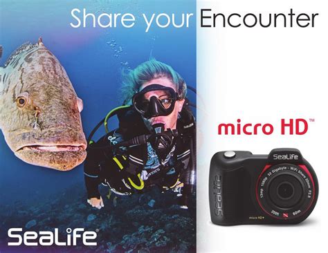 Sealife Micro Hd Underwater Camera By Sealife Flipsnack
