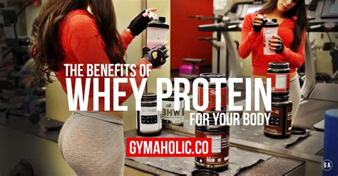 whey protein benefits all you need to know whey protein benefits protein benefits fitness