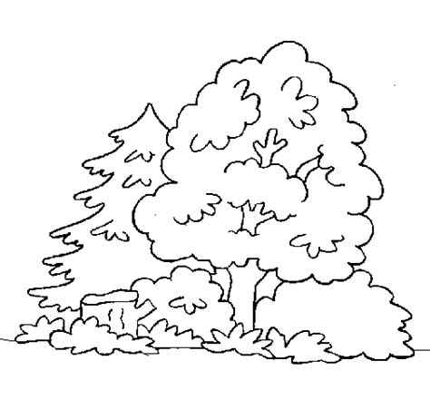 Dibujo De Bosque Para Colorear Dibujos Net