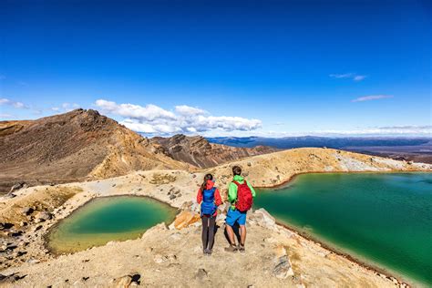 New Zealand Ultimate Hiking Adventure: A Journey through Nature’s
