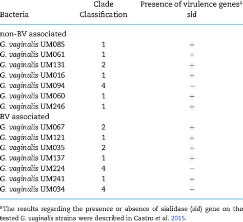 Gardnerella Vaginalis Genotyping Based On Clade Classification System