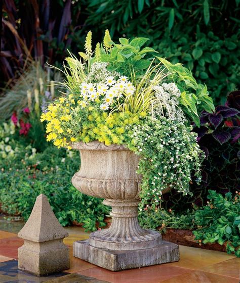 97 Best Container Garden Recipes Images On Pinterest Container Garden Potted Plants And