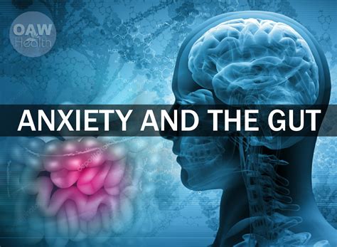 Anxiety And The Gut Oawhealth