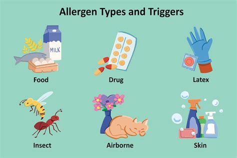 Types Of Allergies Triggers Symptoms Tips For Managing