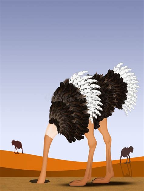 Ostrich With His Head In The Sand Stock Illustration Illustration Of
