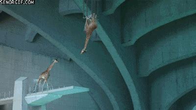 Cgi Swimming GIF By Cheezburger Find Share On GIPHY