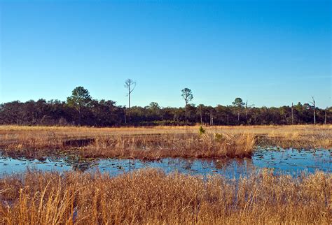 Saltspring island attracts travelers from all over the world in search of a fun, laid back, and unique wilderness vacation destination. Florida Trail, Hopkins Prairie to Salt Springs | Florida ...