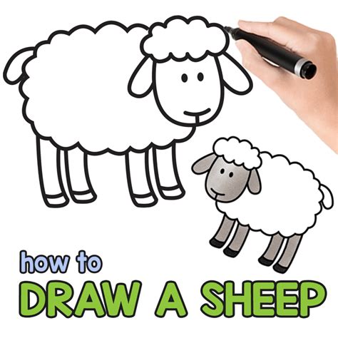 How To Draw A Sheep Step By Step Sheep Drawing Tutorial Thư Viện
