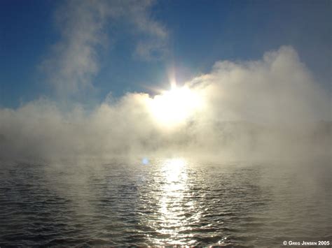 fog