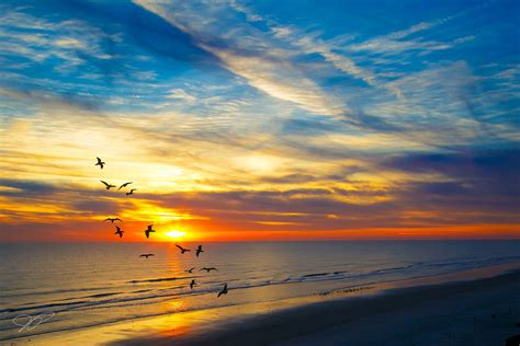 Daytona Beach Sunrise; #daytona #daytonabeach #sunrise | Sunrise, Sunrise beach, Daytona beach