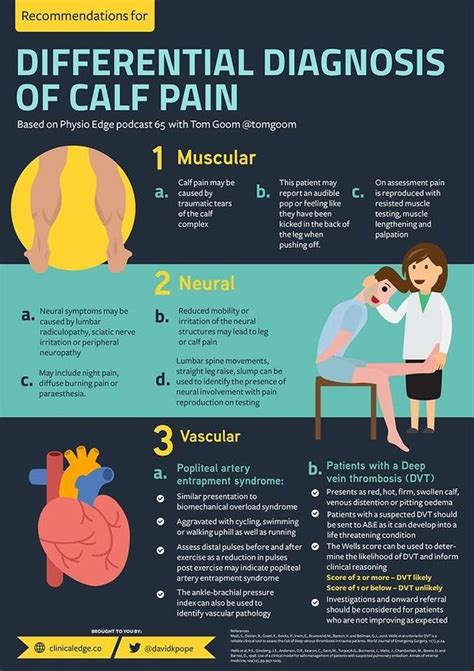 The assessment/diagnosis for low back muscle spasming begins with the verbal history. Calf pain - Where, when and why? - Apex Physiotherapy
