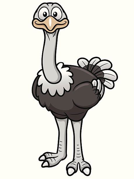 Funny Of Ostriches Clip Art Illustrations Royalty Free Vector Graphics