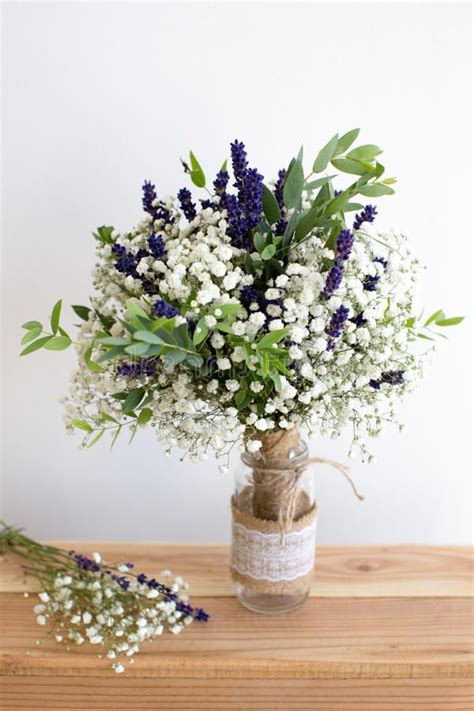 Fragrant Bouquet Of Babys Breath With Eucalyptus And Lavender Stock