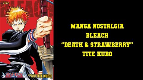 Manga Nostalgia Bleach Death And Strawberry Tite Kubo Youtube