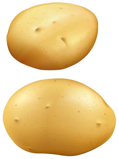 Idaho Potato Clipart 20 Free Cliparts Download Images On Clipground 2023