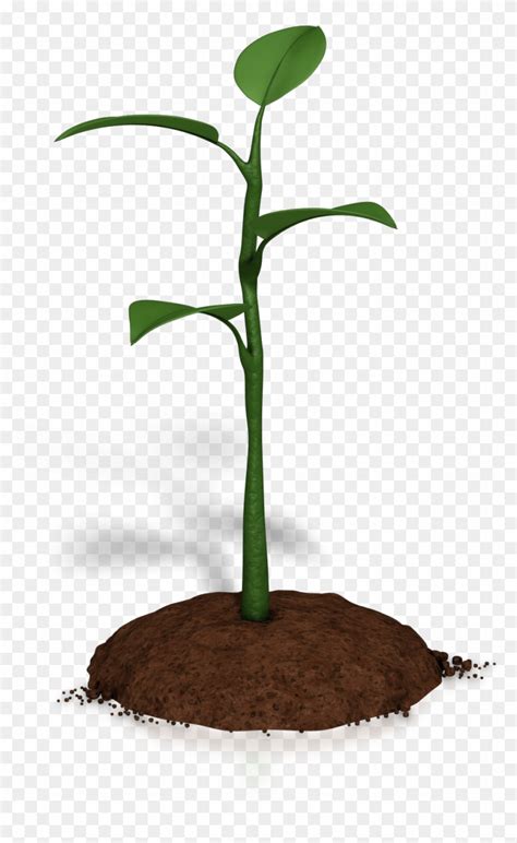 Farmers Planting Crops Royalty Free Vector Clip Art Agricultura