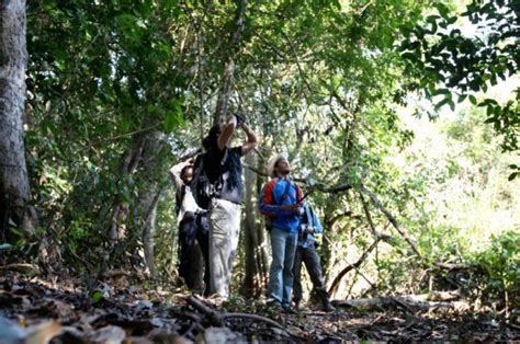 Rede De Hot Is Fortalece O Turismo Ecol Gico Em Mato Grosso Rede De