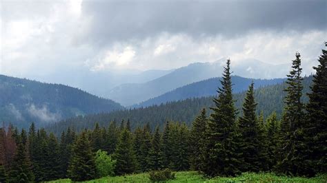 Carpathian Mountains 1080p 2k 4k 5k Hd Wallpapers Free Download
