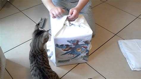 Cuccia casetta (da interno) per gatti o cani a forma di piramide, che rievoca una tana, in cui i piccoli amici amano infilarsi. Tutorial cuccia gatto - YouTube