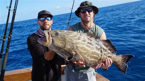Wreck Fishing Rig For Grouper And Amberjack Double Threat Charters