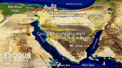 Kadesh Oasis Maps And Videos Casual English Bible