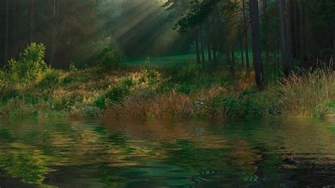 Wallpaper Sunlight Landscape Forest Lake Water