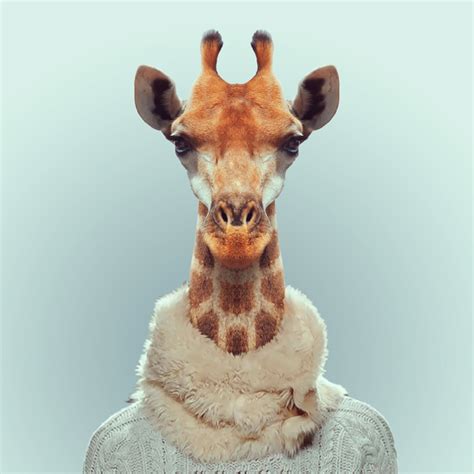Funny Portraits Of Animals Dressed Like Humans
