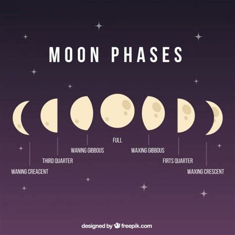 Fases De La Luna Ilustración Fases De La Luna Luna Ilustraciones